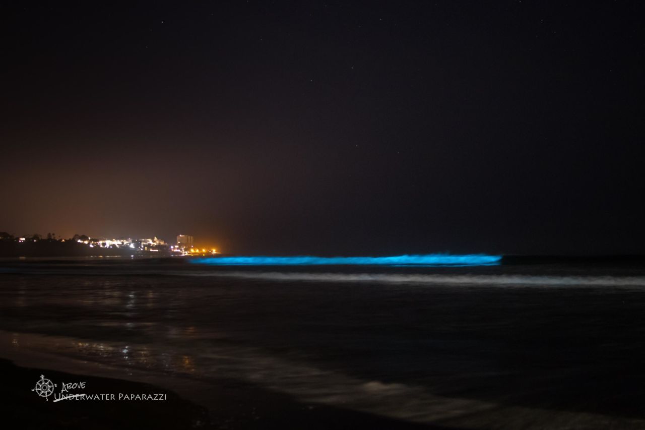 Bioluminescent critters bathe Southern California surf in aqua glow | CNN