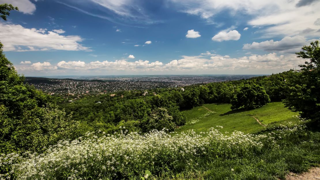 lesser-known-sights-of-budapest---Buda-Hills---Pixabay