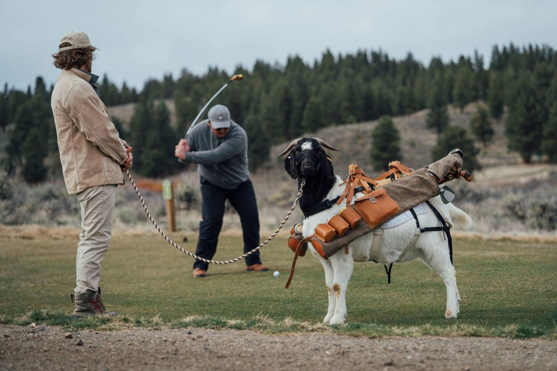 Bruce on the course, carrying the clubs