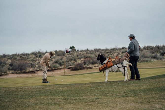 The ranch says the goat is trained to do all the things you would want a caddy to do -- without lying down on the job.