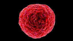 Human t-cell leukemia virus, artwork; Shutterstock ID 264261119; Job: -