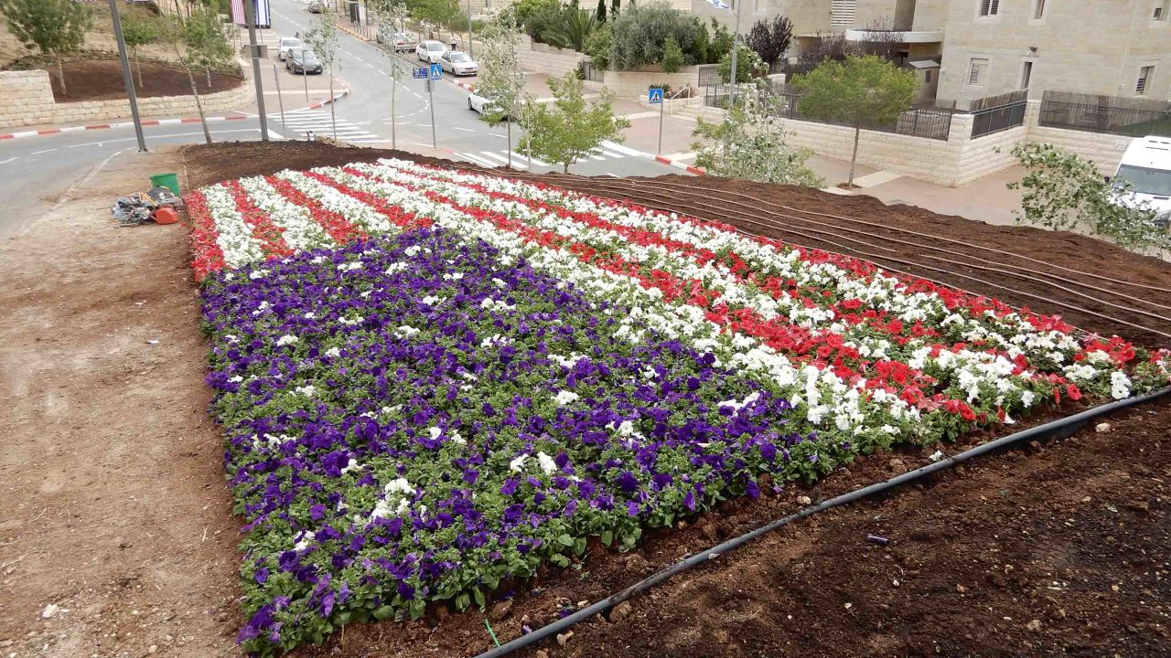Flowers in the shape of the American flag planted at the entrance of the embassy.
