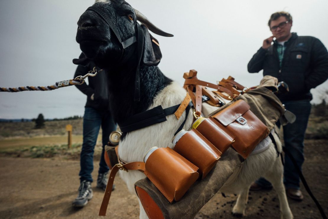 The 'goat golf bag' with beverage holders and a peanut pouch