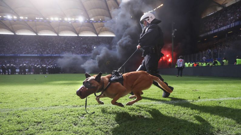 A Police dog is seen on the pitch as fans throw flares during the Bundesliga league match between Hamburger SV and Borussia Moenchengladbach at Volksparkstadion on Saturday, May 12, in Hamburg, Germany.  