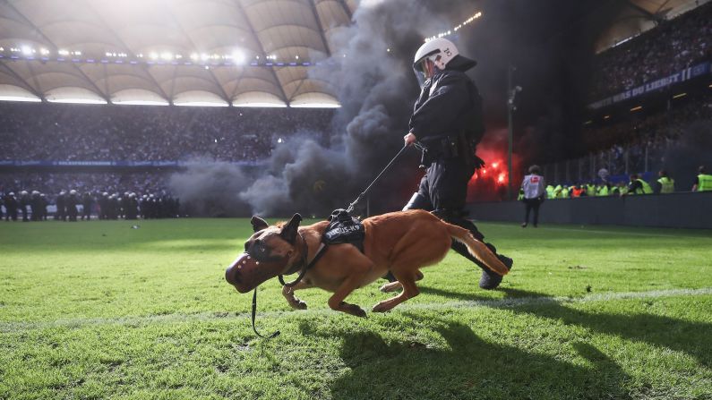 A Police dog is seen on the pitch as fans throw flares during the Bundesliga league match between Hamburger SV and Borussia Moenchengladbach at Volksparkstadion on Saturday, May 12, in Hamburg, Germany.