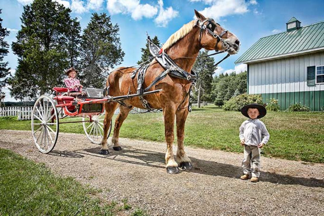Big Jake made Guinness World Record history in 2010 when he was officially named the tallest living horse.