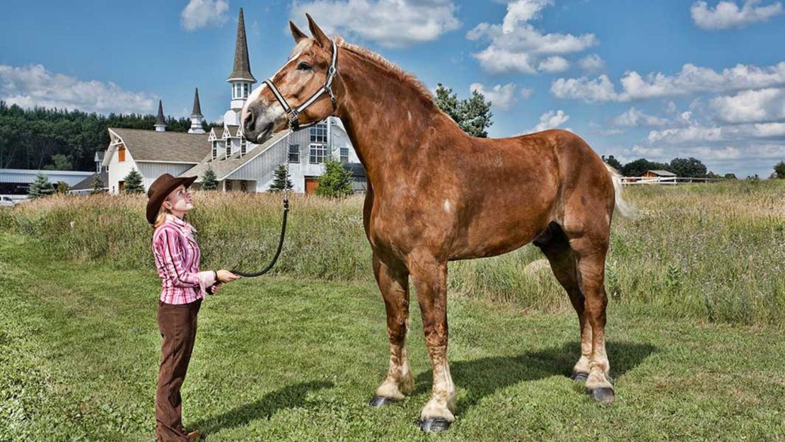 Big Jake is 82.75 inches (210.18cms) tall