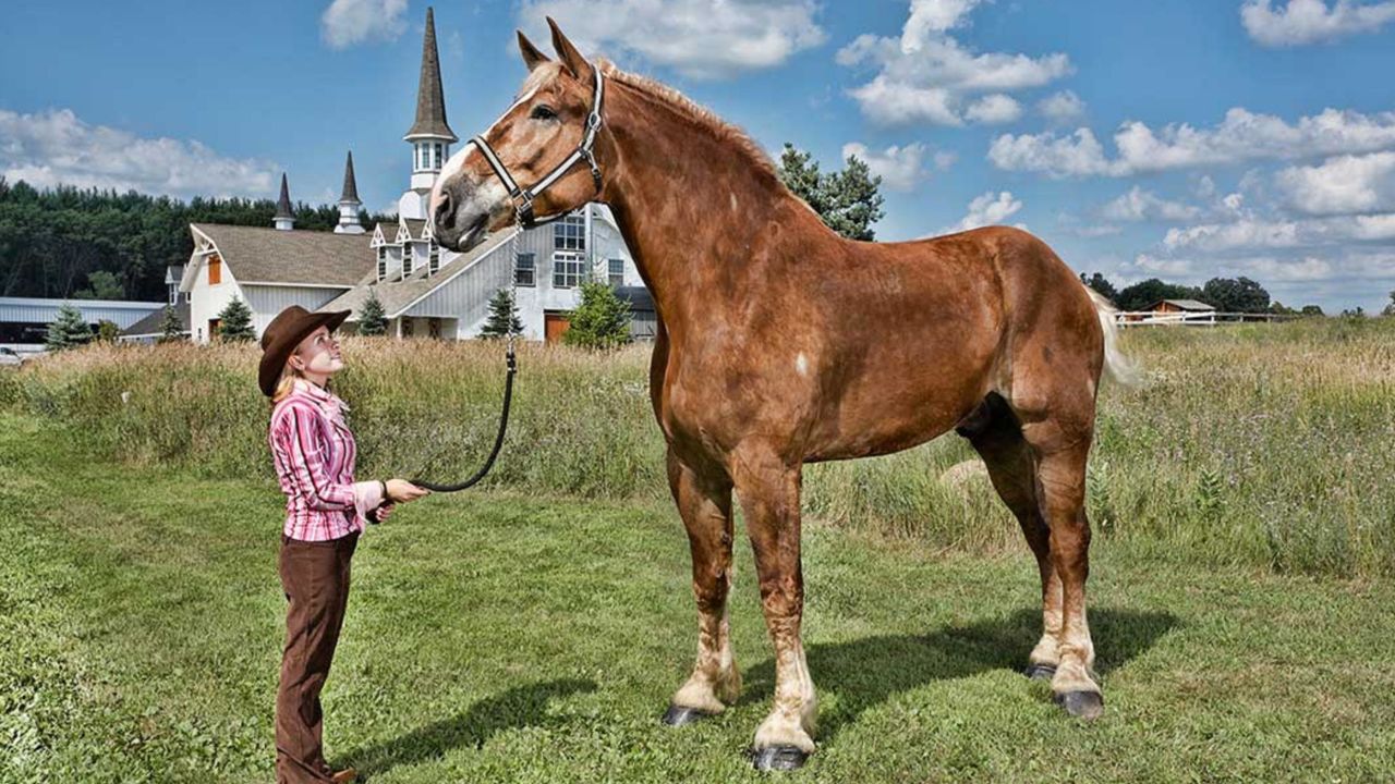 Big Jake is 82.75 inches (210.18cms) tall