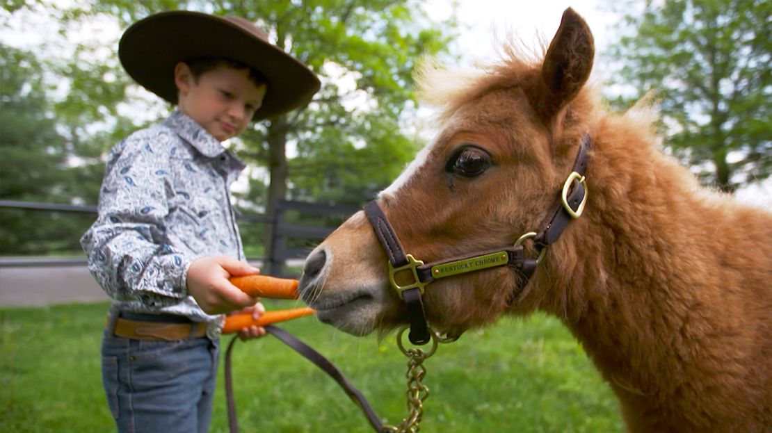 Five-year-old Luke was the first to jump into the pen with 'Tucky'.