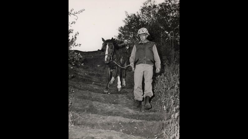 Reckless, pictured here in 1953, carried ammunition for a recoilless rifle. The weapon was dubbed "reckless" for how dangerous it was to use, hence the horse got her name.