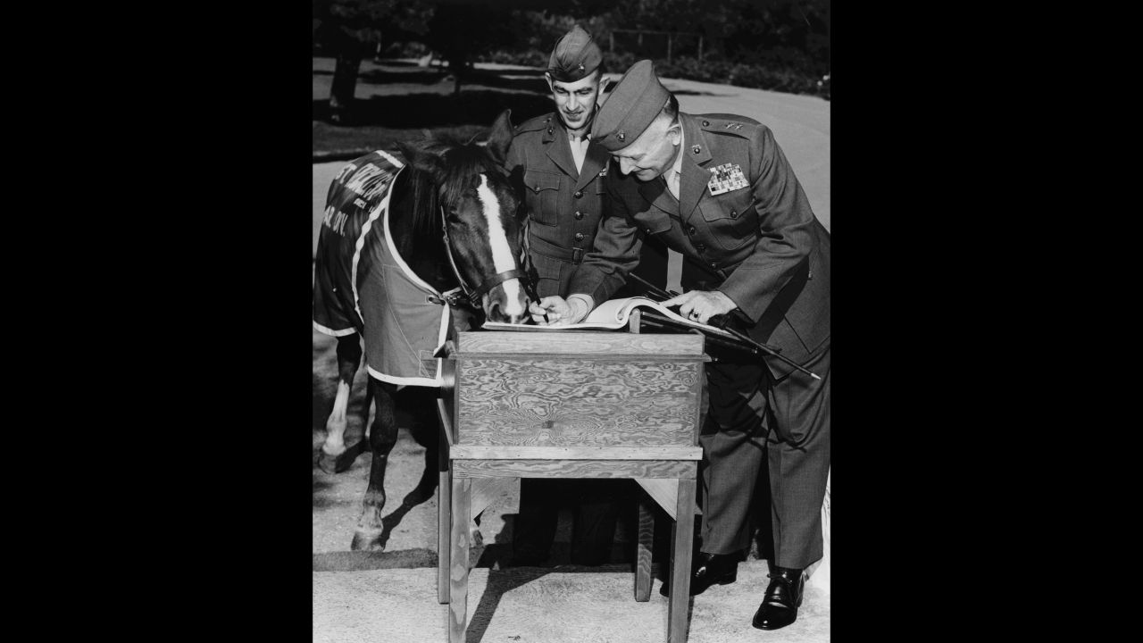 Reckless, who would sleep in the soldiers' tents at night, also endeared herself to her fellow Marines in a different way. "Reckless had a voracious appetite," Robin Hutton, president of the Sgt. Reckless Memorial Fund and author of a book about the horse, wrote on a website dedicated to her. "She would eat anything and everything -- but especially scrambled eggs and pancakes in the morning with her morning cup of coffee."
