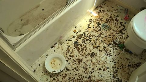 The home in Fairfield, California, was covered in animal and human feces, police say.