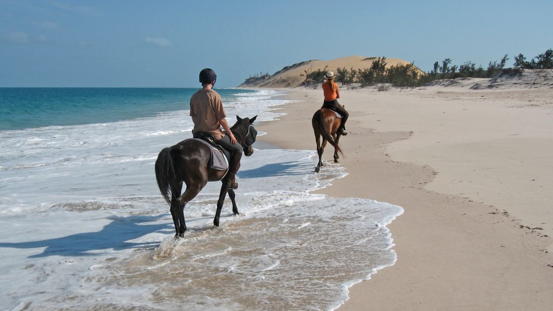 <strong>Island hopping: </strong>Six of the horses now live on Benguerra Island, the second largest island in the Bazaruto Archipelago, including four of the original Zimbabwean horses and two that were rescued locally in Mozambique.
