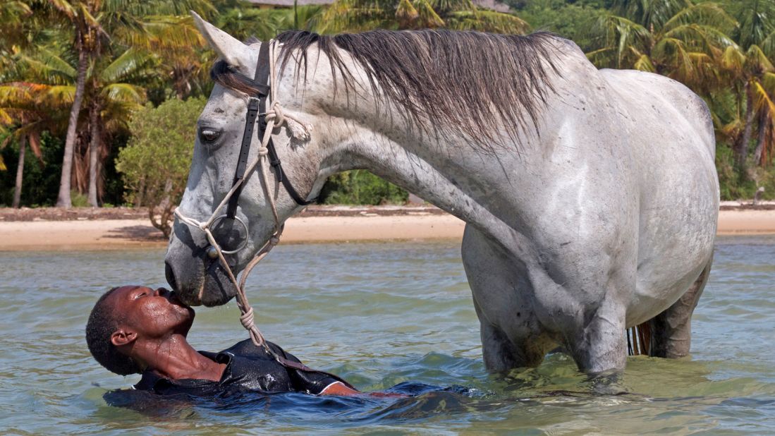 <strong>Horsing around:</strong> "The horses love island life," says Charlotte Levens, who cares for the animals on Benguerra Island. "There are no fences on the island, so they have free rein really."