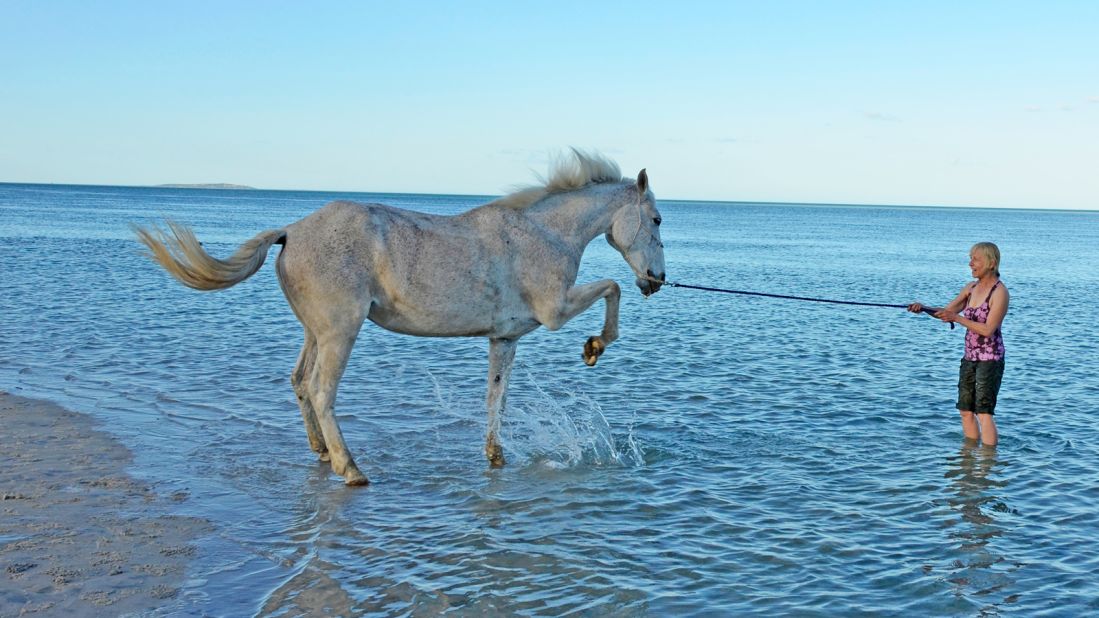 <strong>Horsing around: </strong>Here you'll see horses kick up sand and spray on the edge of the island's clear blue water,s while just a few feet away, unspoiled coral reefs flash brilliant colors below the surface.