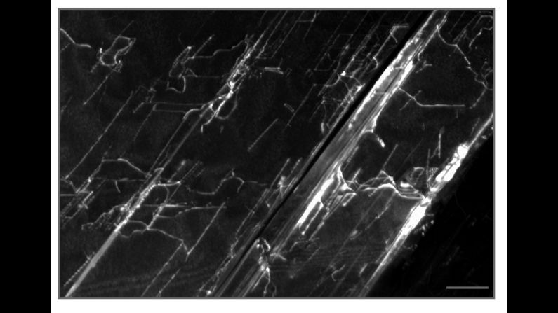 A close look at the diamond matrix in a meteorite that landed in Sudan in 2008. This is considered to be the first evidence of a proto-planet that helped form the terrestrial planets in our solar system. 