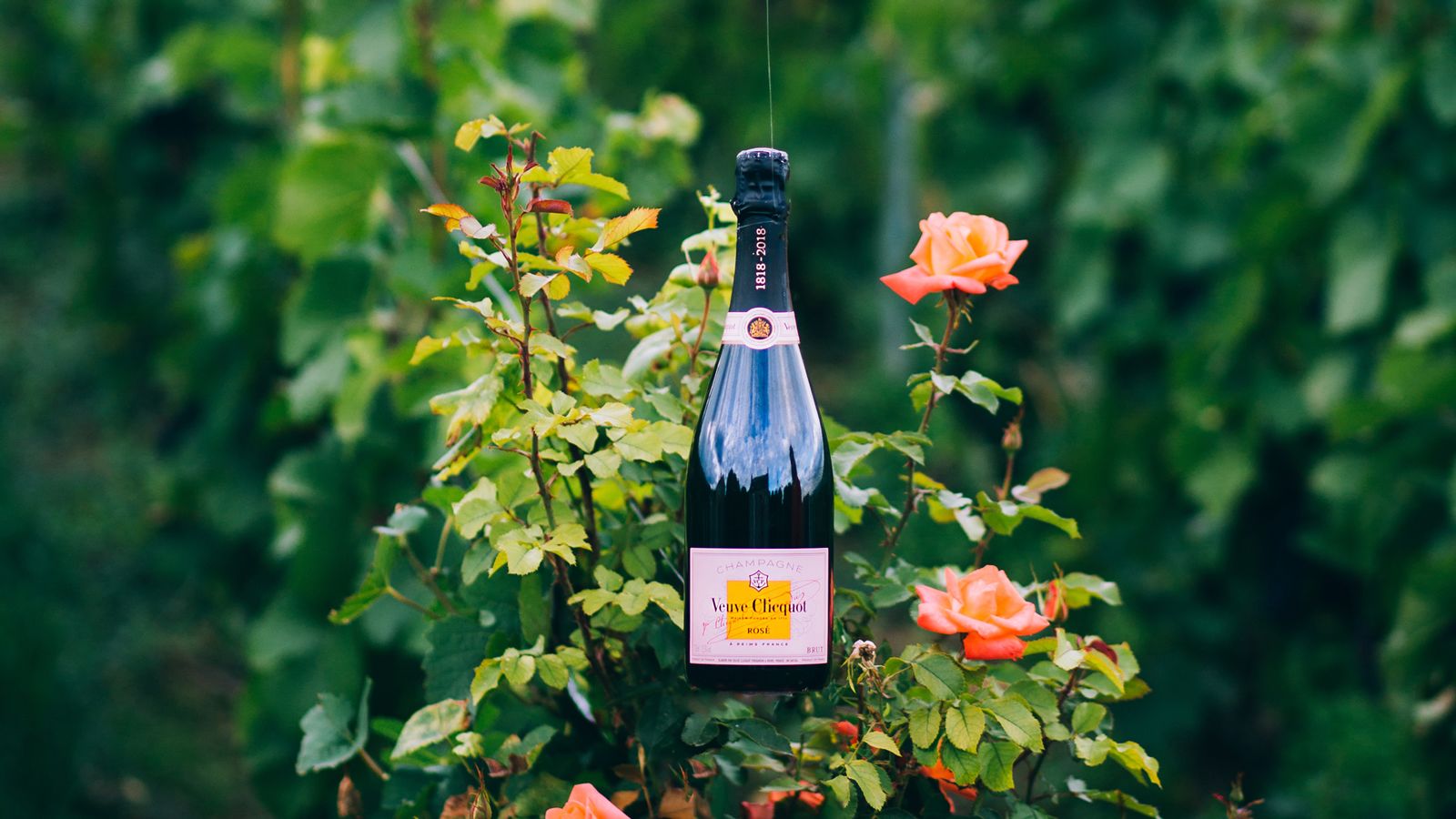 Veuve Clicquot Gets Fashionable New Image – WWD