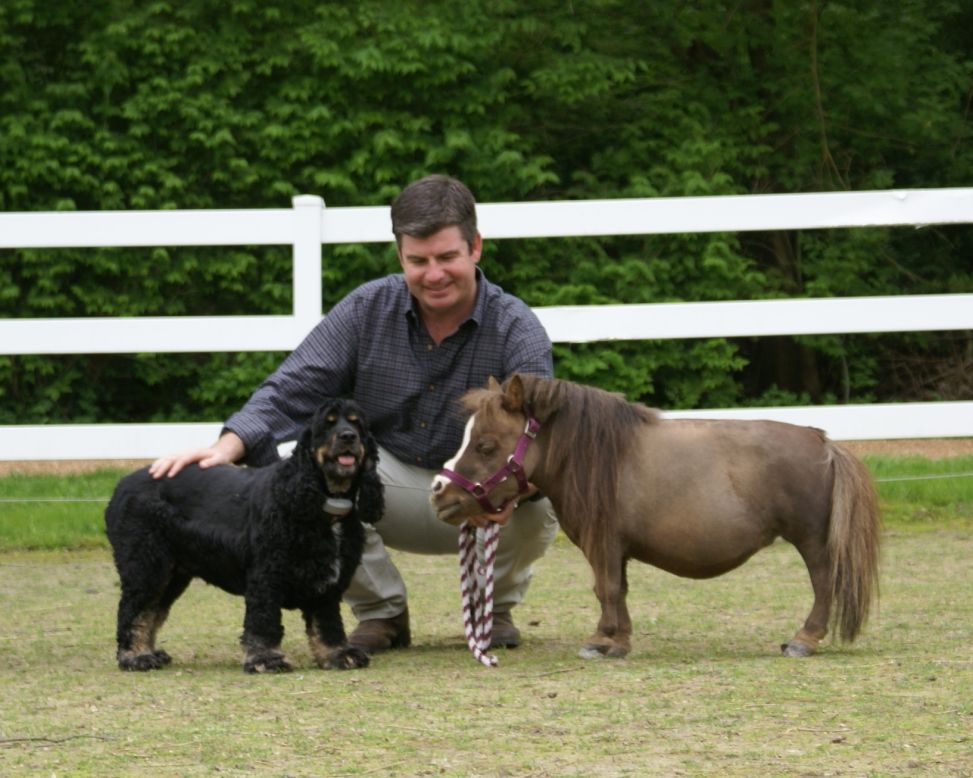 Big Dog or Small Horse Pet Dog Bowl Large Giant Puppy Miniature Horse Mini  Pony Great Dane Tiktok 