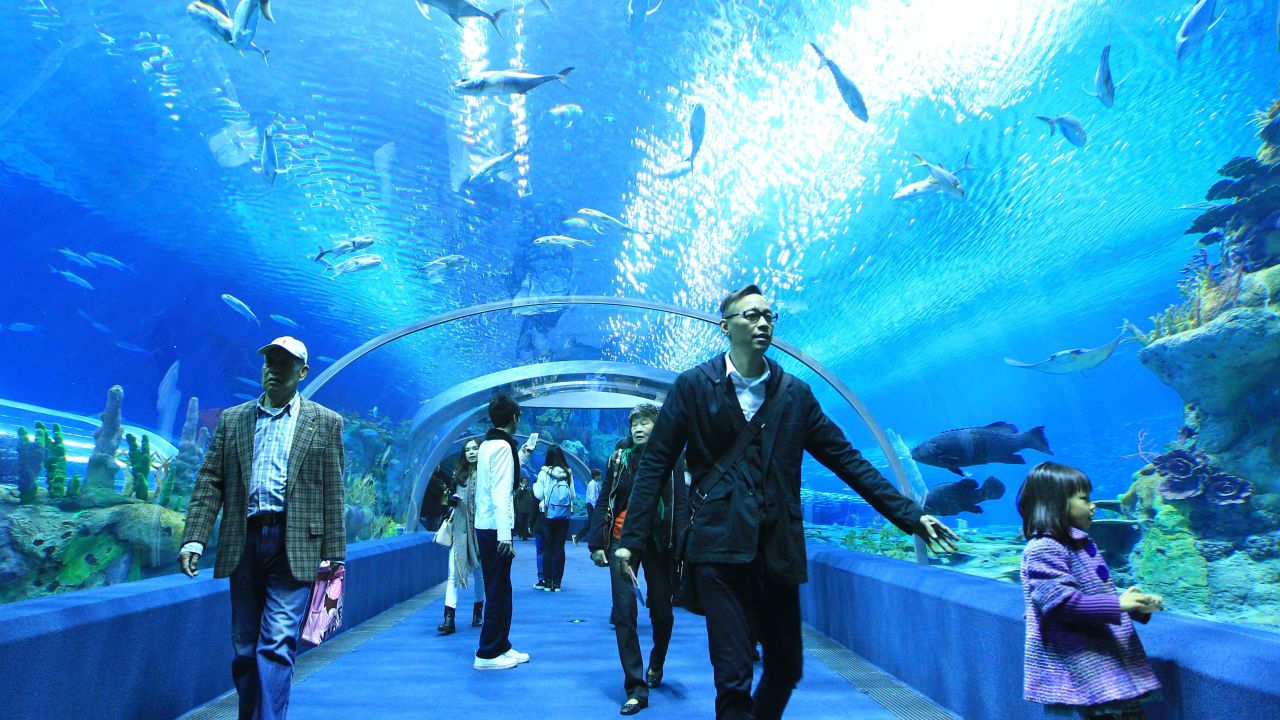 <strong>10. Chimelong Ocean Kingdom, China: </strong>Chimelong Ocean Kingdom, in China's Guangdong province, opened in January 2014. 