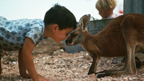A young boy plays on the ground with his pet kangaroo in South Australia.