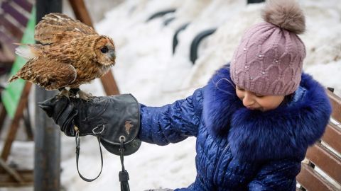 A girl holds her pet owl during the bird day celebrations in a park in Moscow.