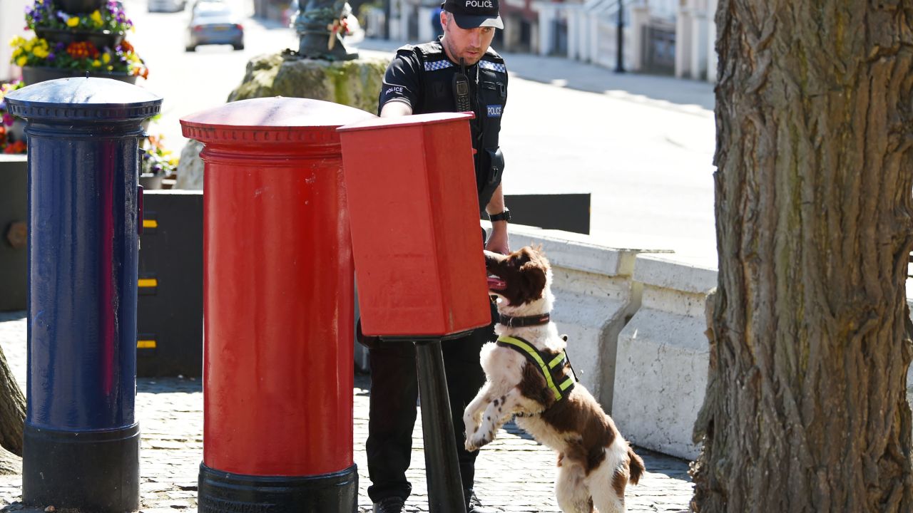 Police have been conducting thorough searches throughout Windsor in the weeks leading up to the royal wedding.