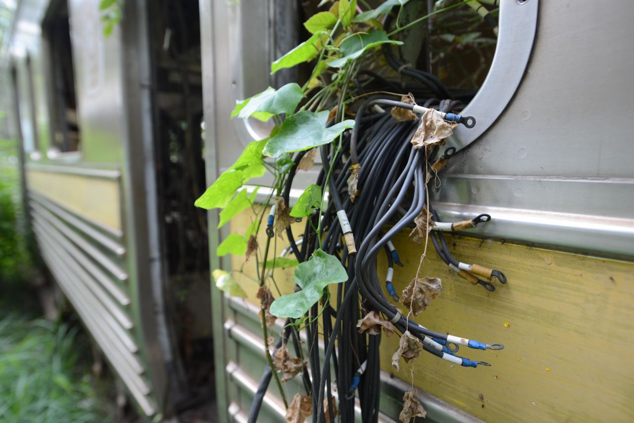 <strong>Nature takes over: </strong>Vines and wires become one on a rail car sitting in the Makkasan yard. The place is filled with rows of train cars. Some will be scavenged for parts to fix cars that will make their way back onto Thai rails.