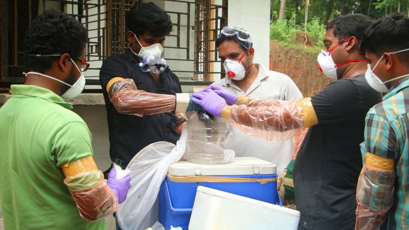 cbc news nipah virus