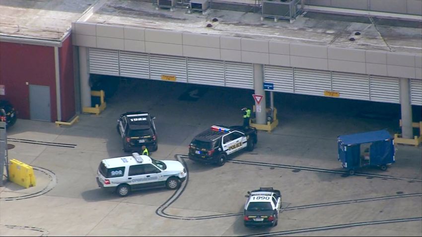 Authorities gather at the San Antonio airport, near where a baboon reportedly escaped.