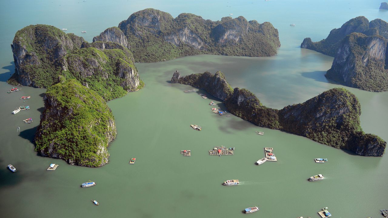 <strong>Halong Bay, Vietnam: </strong>In 1994, UNESCO declared Halong Bay a World Heritage Site. Since then, researchers have discovered 14 plant species and no less than 60 species of animals that are endemic to Halong.
