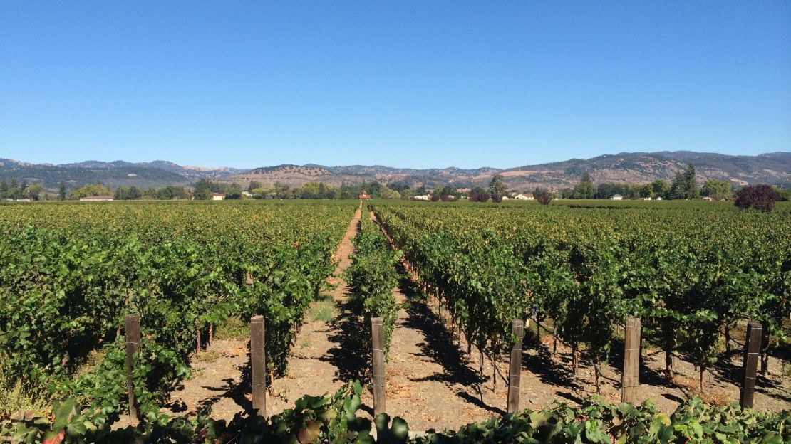 Much of northern California's wine country was unaffected by the autumn wildfires.