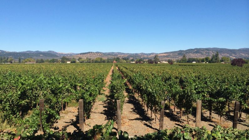 <strong>California wine country:</strong> Despite the wildfires last fall, the areas around Napa and Sonoma are ready for visitors.