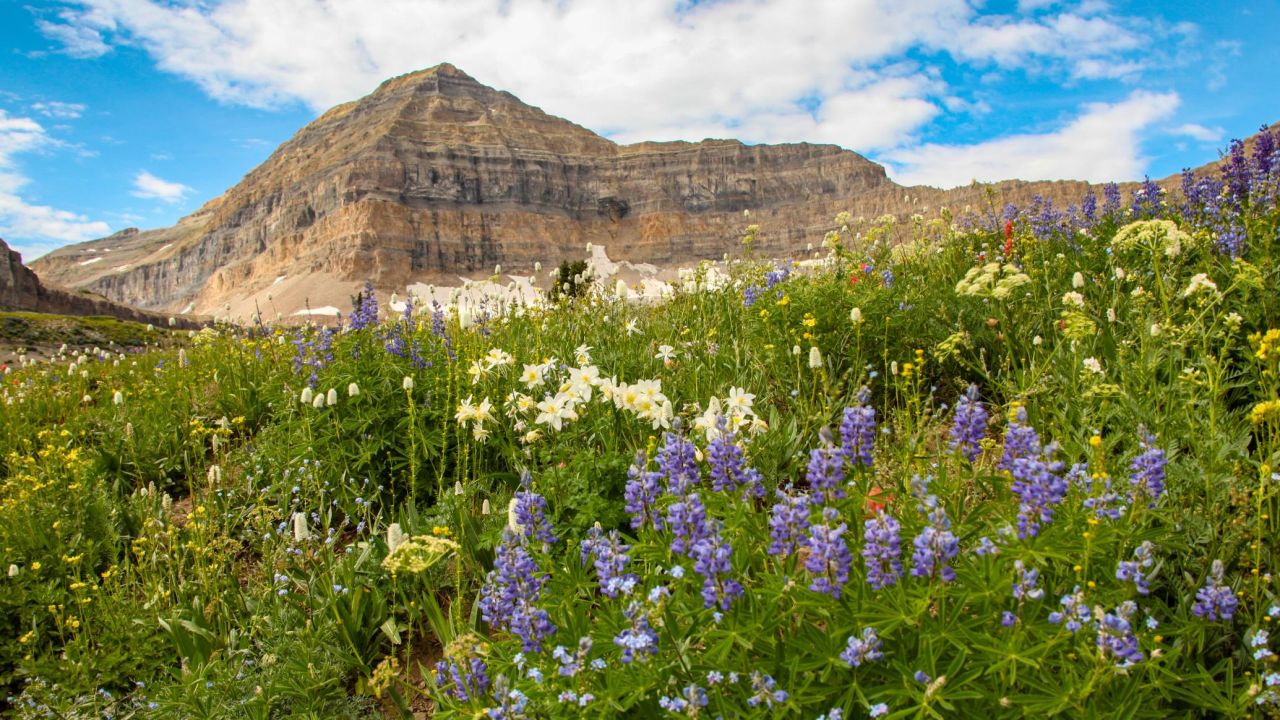 <strong>Telluride, Colorado: </strong>Telluride is the perfect getaway for the adventurer looking to hike and explore a luscious terrain during the off-season. 
