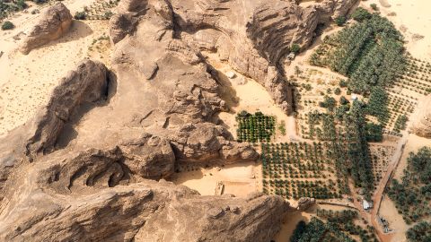 Much of the survey is concentrated in Al-Ula valley, a historical oasis where date palms flourish.