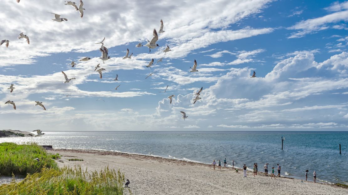 A stretch of beach on Ocracoke Island