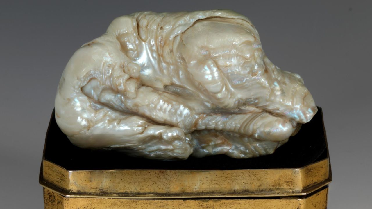 The world's largest freshwater pearl goes under the hammer at an auction in The Netherlands. The "Sleeping Lion Pearl," which takes its name from its unusual shape, is estimated to attract bids upward of $600,000.