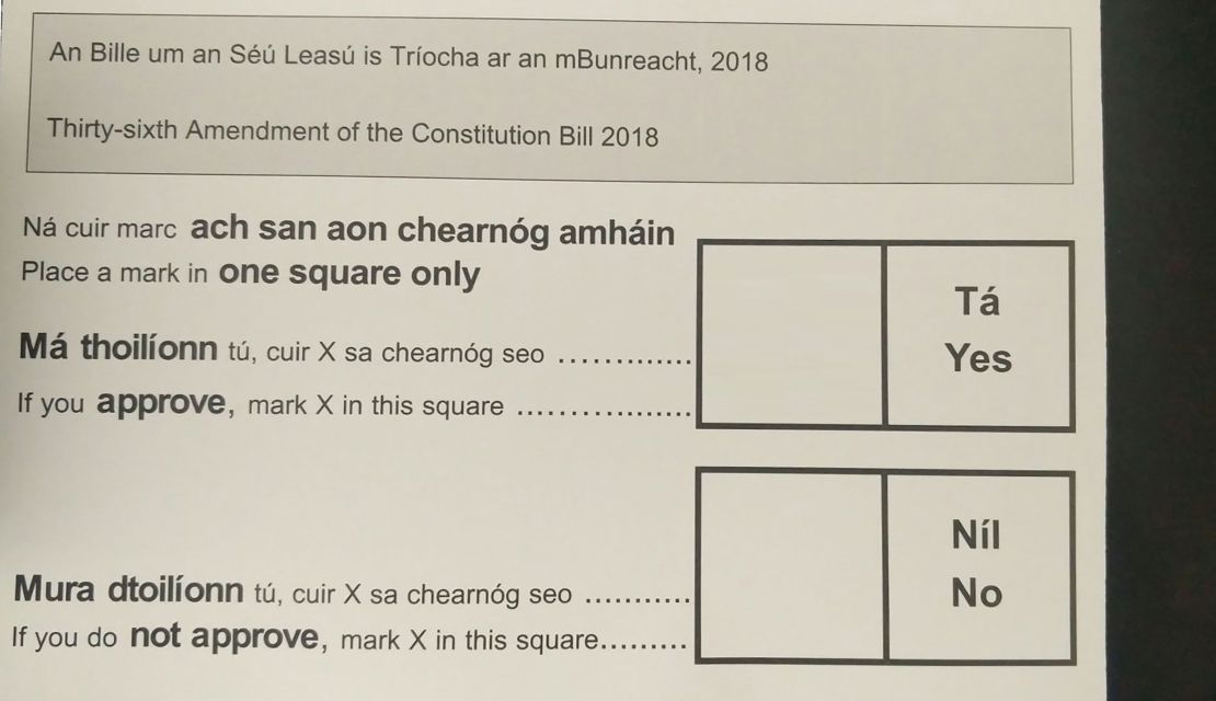 Ballots will be cast at polling stations across Ireland on Friday.
