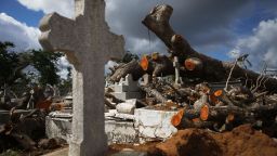 SAN JUAN, PUERTO RICO - DECEMBER 23:  A tree toppled by Hurricane Maria rests over damaged graves in the Villa Palmeras cemetery on December 23, 2017 in San Juan, Puerto Rico. Barely three months after Hurricane Maria made landfall, approximately one-third of the devastated island is still without electricity. While the official death toll from the massive storm remains at 64, The New York Times recently reported the actual toll for the storm and its aftermath likely stands at more than 1,000. A recount was ordered by the governor as the holiday season approached.  (Photo by Mario Tama/Getty Images)