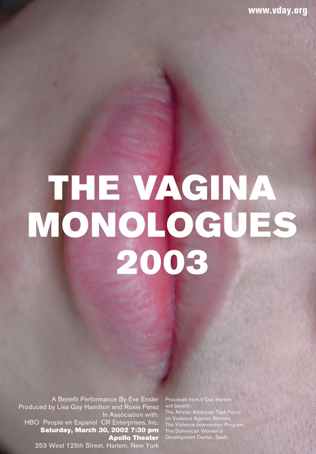 Vagina Monologues theater poster, USA, 2002.