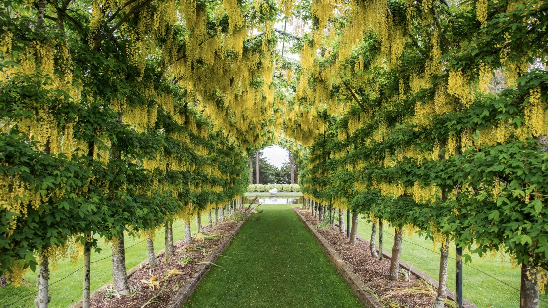 Dunedin's botanic gardens are the oldest in the country.