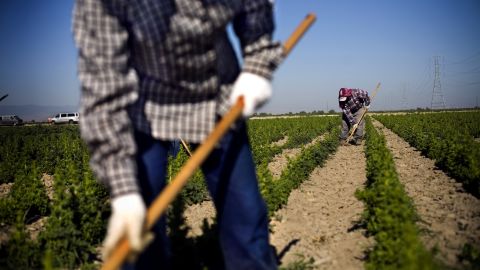 Central Valley farms are dependent on cheap migrant laborers, many of whom are undocumented.