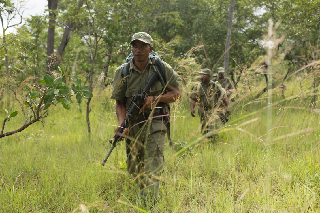 A ranger is seen in Mozambique's Niassa Reserve.