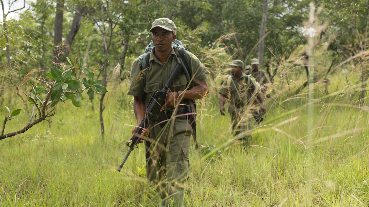 A ranger is seen in Mozambique's Niassa Reserve.