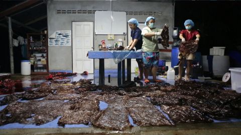 A marine veterinarian and volunteers display plastic bags from the stomach of the dead pilot whale.
