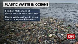 exp Plastic killing marine life around the world _00002001.jpg