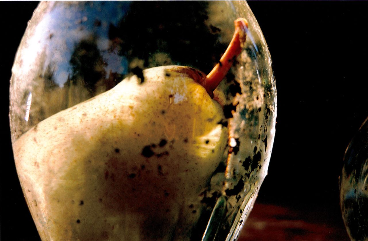 A still from "Prisoner Pair" (2008), which was recently on view at London's National Gallery as part of "Tacita Dean: Still Life."