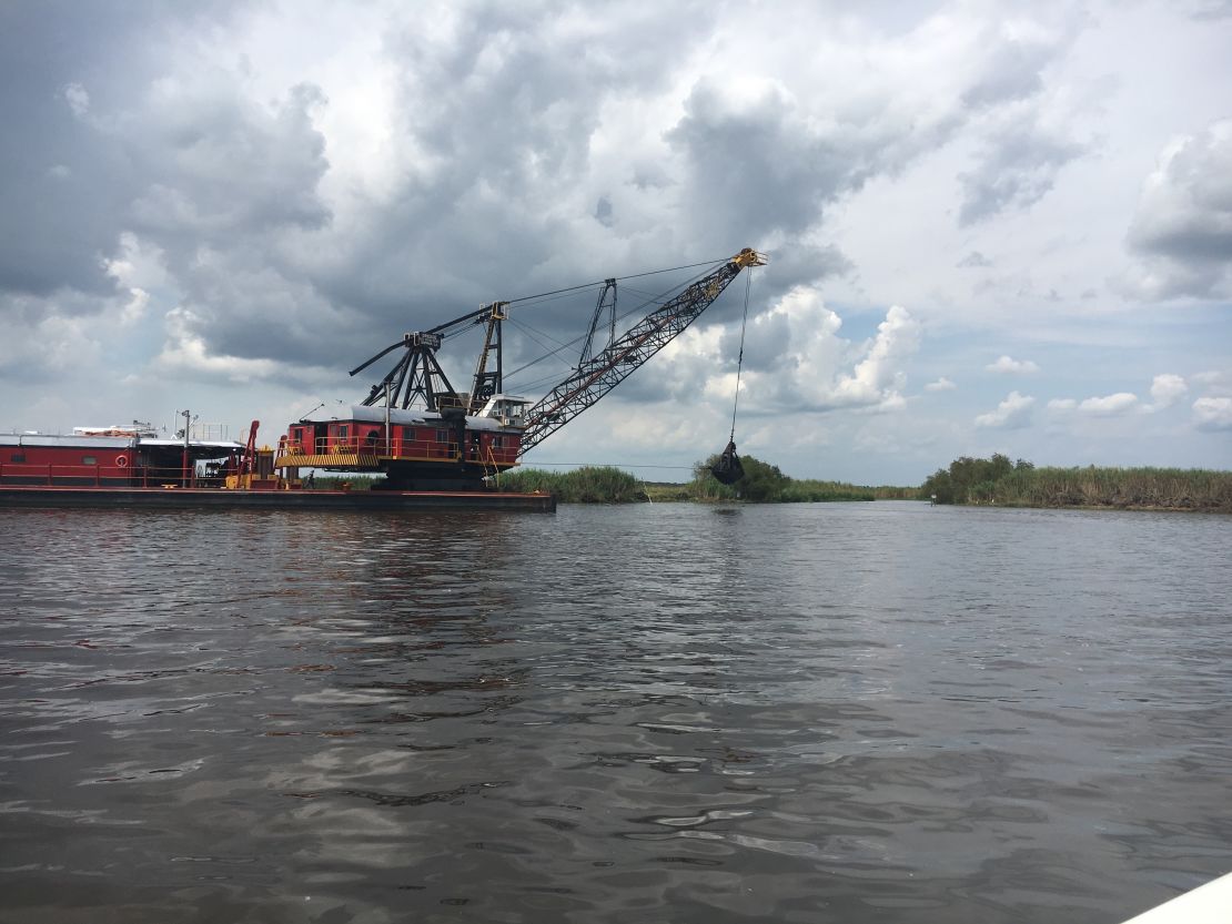 Louisiana's marshes support "a whole ecosystem," a local professor says.