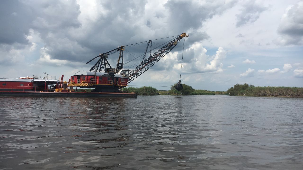 Louisiana's marshes support "a whole ecosystem," a local professor says.