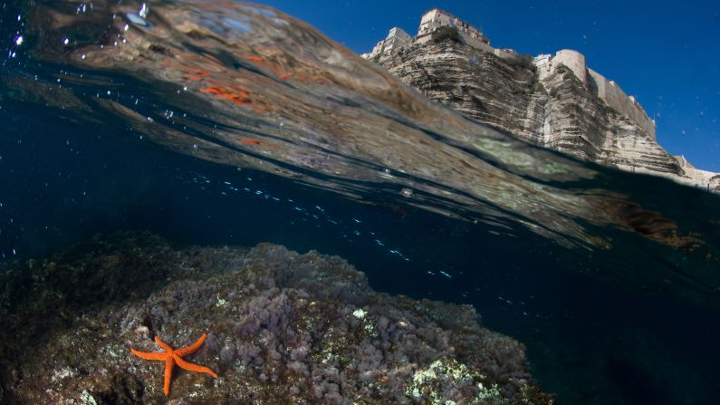 <strong>Snorkeling spot: </strong>Bonifacio is a treat for snorkelers too thanks to its rich marine life -- the Strait of Bonifacio is even listed as a natural reserve.