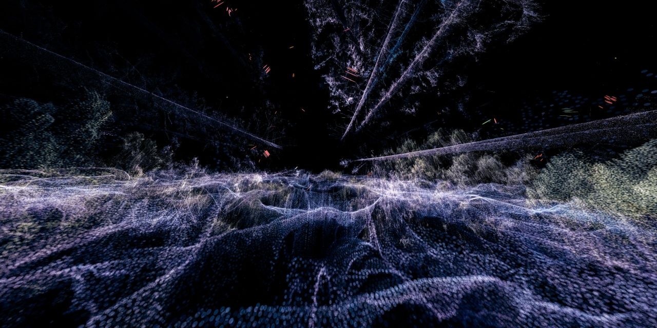 Augmented reality headsets allowed visitors to see the Grizedale Forest in northern England to see the forest through the eyes of something un-human.